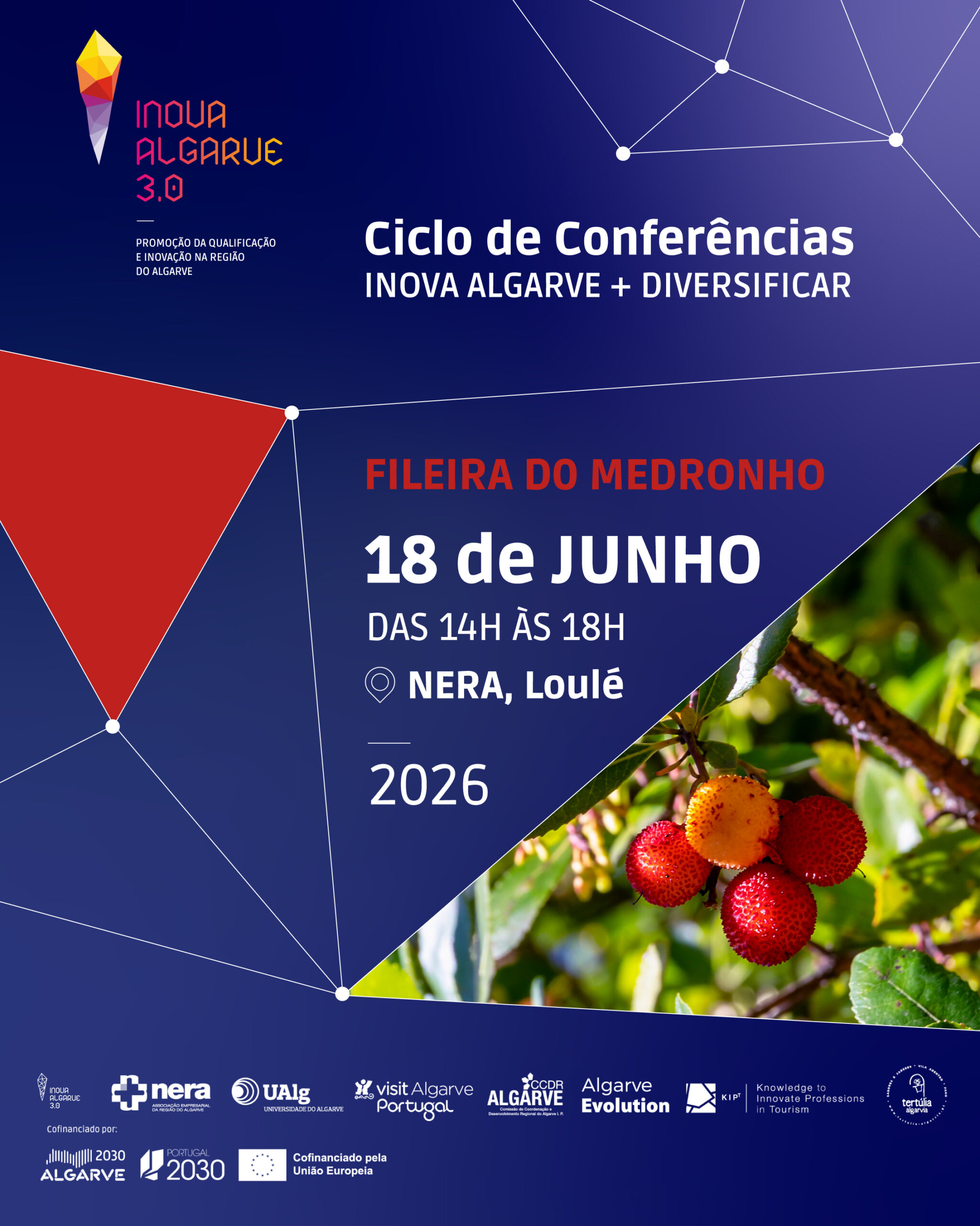 CicloConferências_INOVA_medronho_Instagram_1080x1350